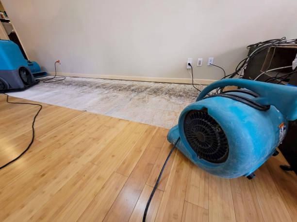 Professional Water Damage Repair technician working in Trenton, IL